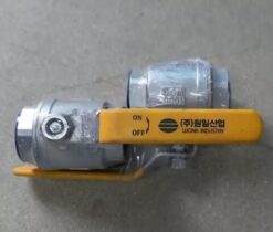 van-bi-wonil-tay-gat