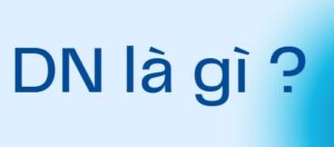 DN-la-gi