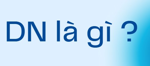 DN-la-gi