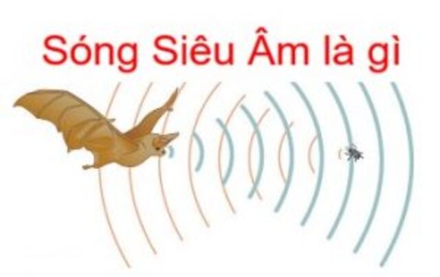 song-sieu-am